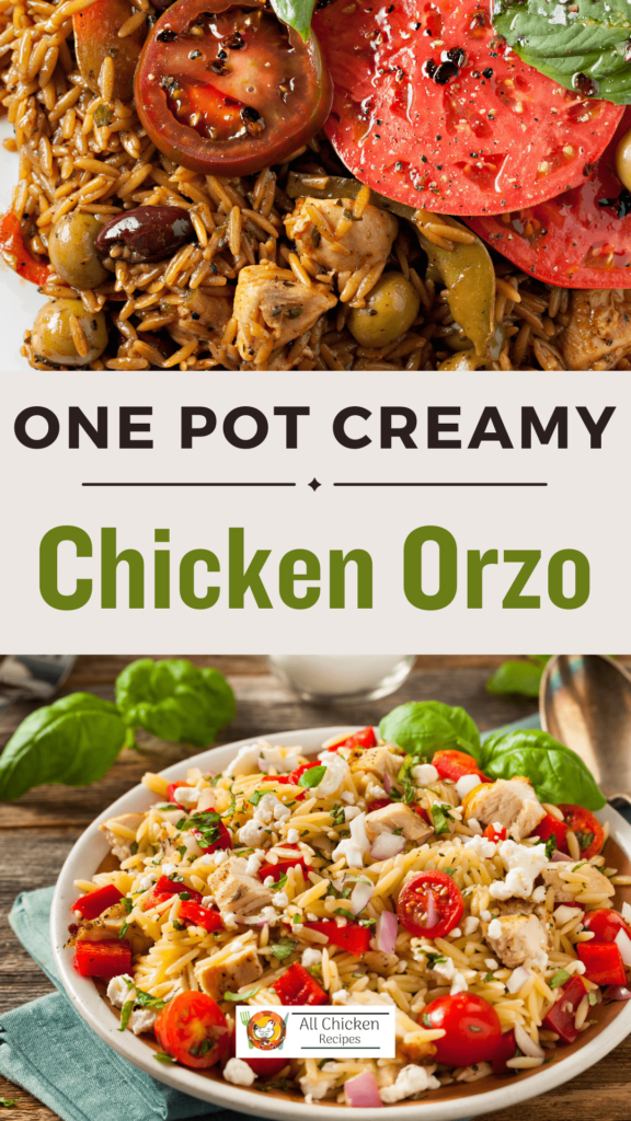 One Pot Chicken Orzo