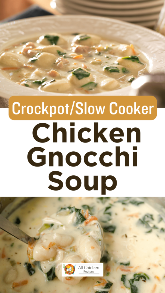 Crockpot Chicken Gnocchi Soup