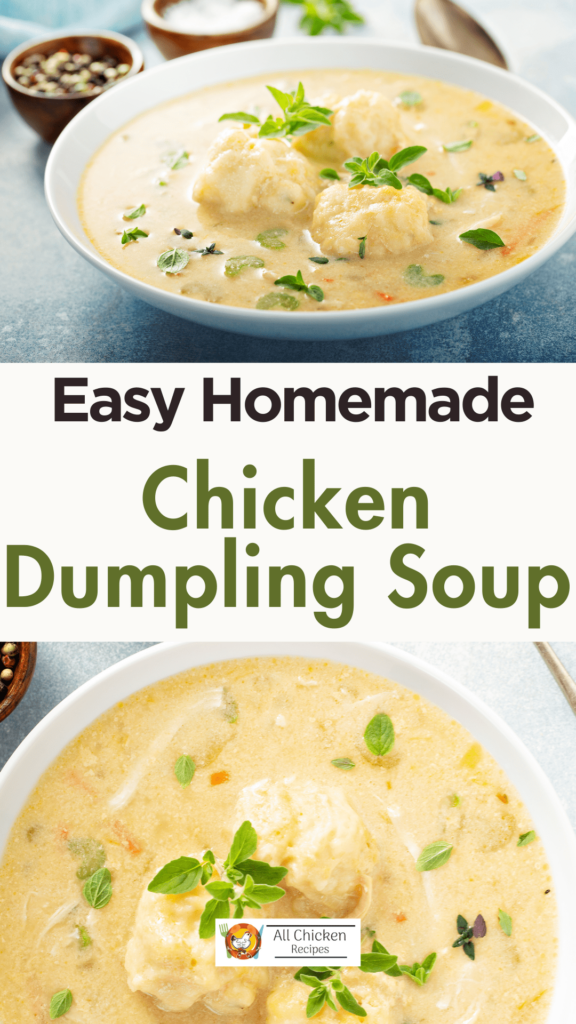 Chicken Dumpling Soup