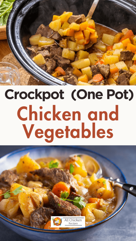 Slow Cooker Chicken and Vegetables